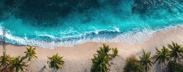 Obraz A beautiful beach with palm trees and a blue ocean