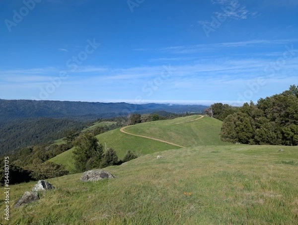 Obraz trail on a hilltop with blue sky