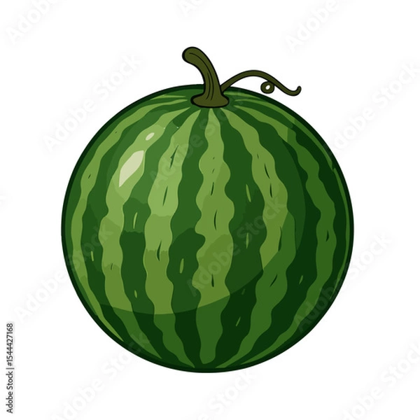 Fototapeta watermelon vector illustration