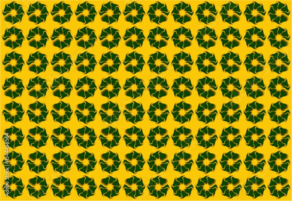 Fototapeta Flower design background, pattern sets background, design of flowers art vector , green flowers texture background 