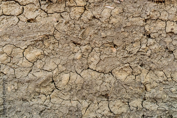 Fototapeta Crack dry soil