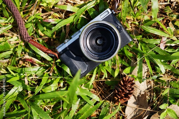 Fototapeta Vintage mirrorless camera and pine cone on green lawn grass in natural sunlight shining day in garden