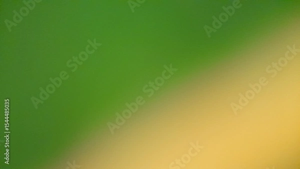 Fototapeta Bokeh photo create abstract blurred image featuring gentle gradients of green and yellow tones, evoking a natural, serene, soft and diffused texture that feels light and calming.