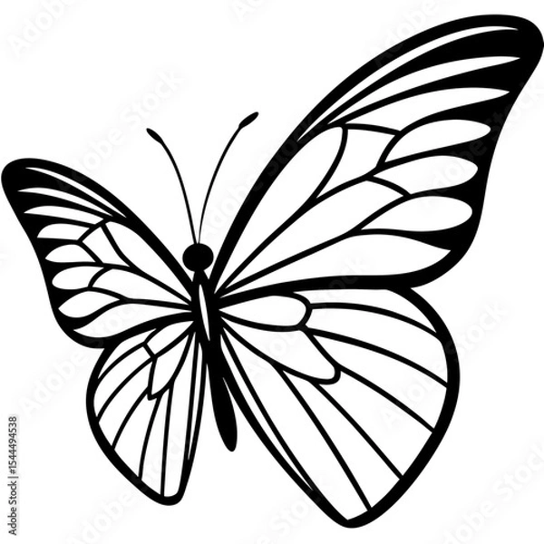 Fototapeta Close-Up Butterfly Wing with Delicate Vein Structure – Smooth Edge Line Art