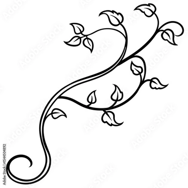 Fototapeta Flowing Vine with Curling Tendrils and Small Leaves – Line Art Illustration