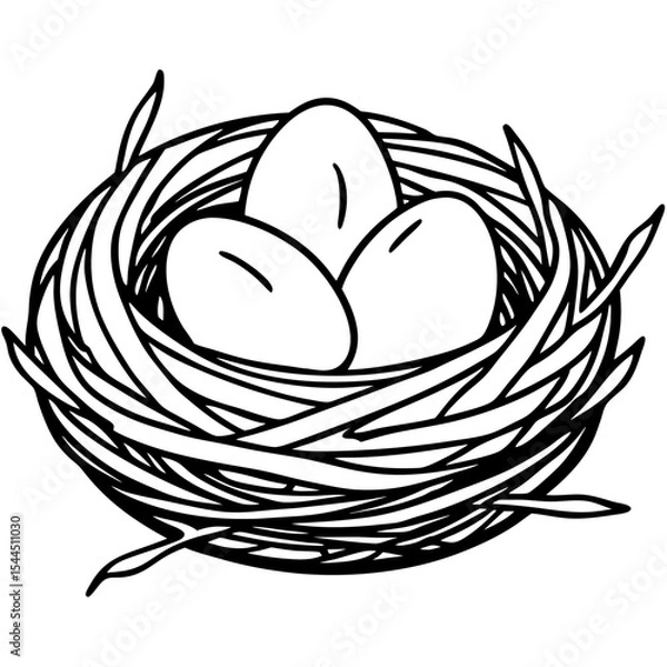 Fototapeta Simple Twig Nest with Minimal Bird Eggs – Line Art Illustration