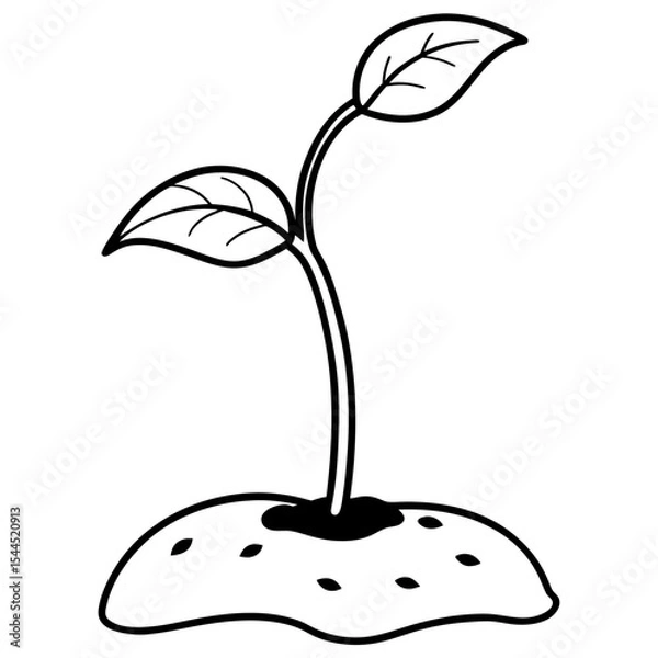 Fototapeta Small Sprout Emerging from Soil – Two Leaves with Smooth Stem in Line Art