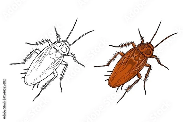 Fototapeta Cockroach picture. Cockroach sketch. Can be used as book illustration. Cockroach coloring book