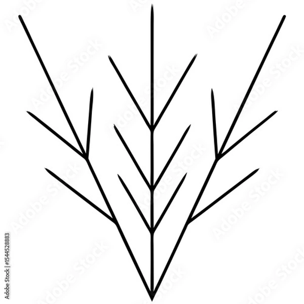 Fototapeta Symmetrical Needle Branch – Clean and Crisp Line Art Illustration