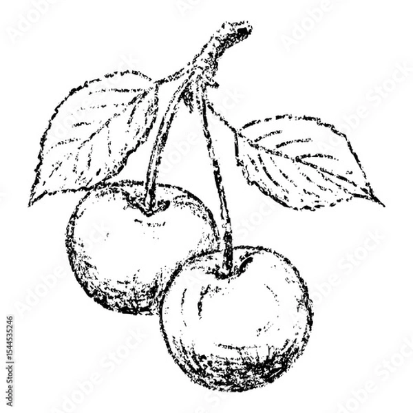 Obraz Sketch crayon summer berry cherry illustration. Hand drawn scribble doodle dessert tropical plant, sweet and tasty. Pencil texture vector design element for label, package, tag.