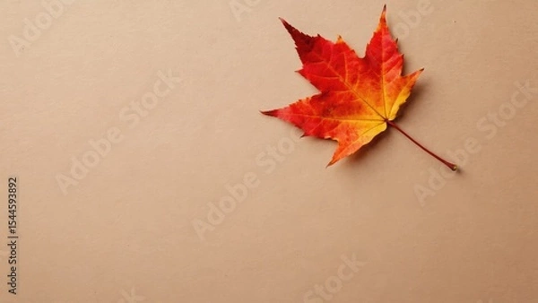 Fototapeta A single red and orange maple leaf rests on a beige background. The leaf displays vibrant autumn colors, symbolizing the fall season.