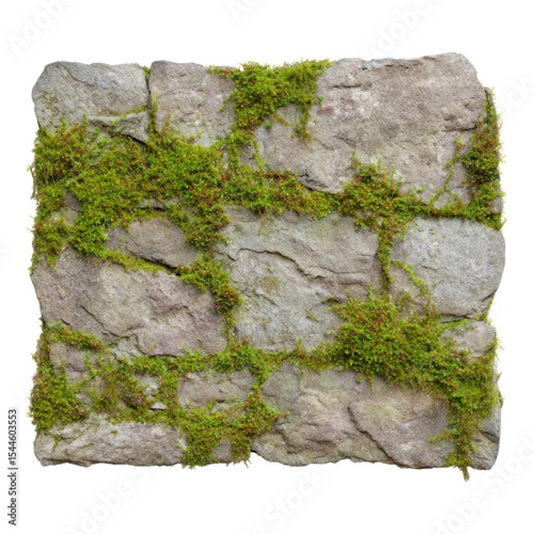 Obraz Isolated Stone Texture with Green Moss on Transparent Background