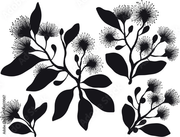 Obraz A vibrant vector illustration featuring silhouette leafy branches with fluffy eucalyptus flowers
