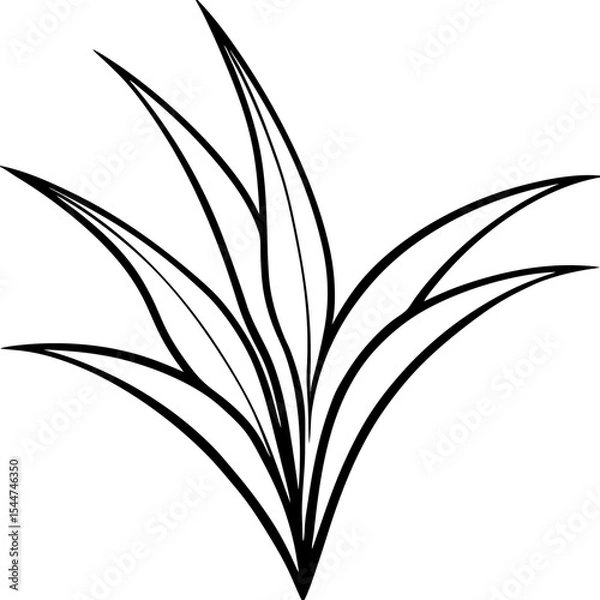 Fototapeta Minimal Grass Blade Outline Vector 