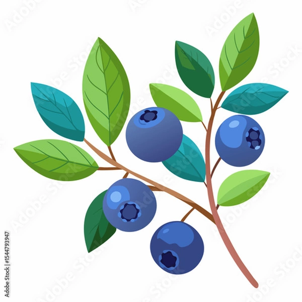 Obraz blueberries isolated on white background