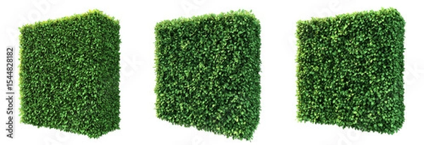 Fototapeta Set of various Green square topiary hedge wall isolated on transparent background