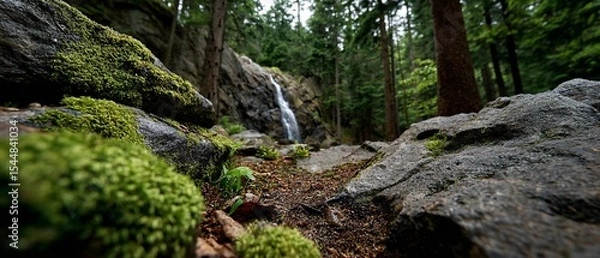Obraz Verdant mossy rocks frame woodland waterfall