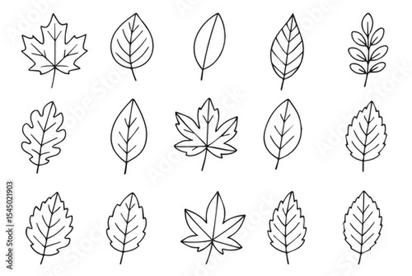 Fototapeta Autumn leaves doodle style. Set of hand drawn autumn forest leaves. Fall season design elements, clip art.
