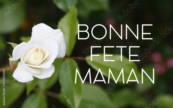 Obraz Fête des mères