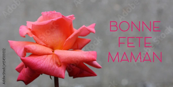 Obraz Fête des mères