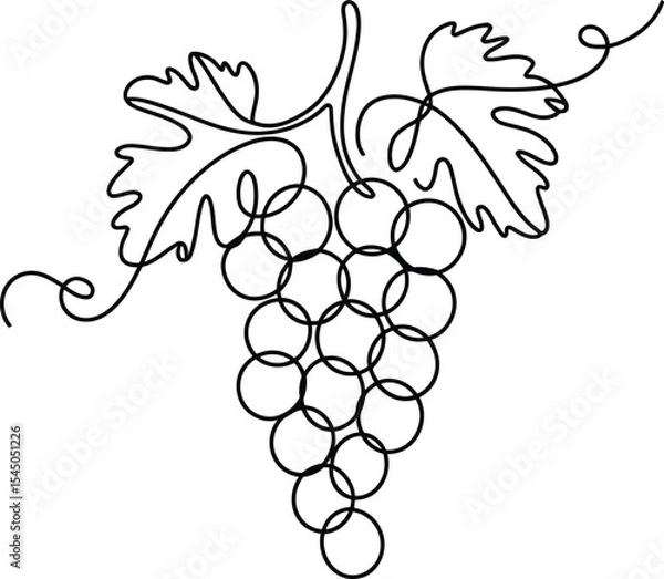 Fototapeta Grapes continuous line drawing. Hand drawn vector illustration isolated on white background.