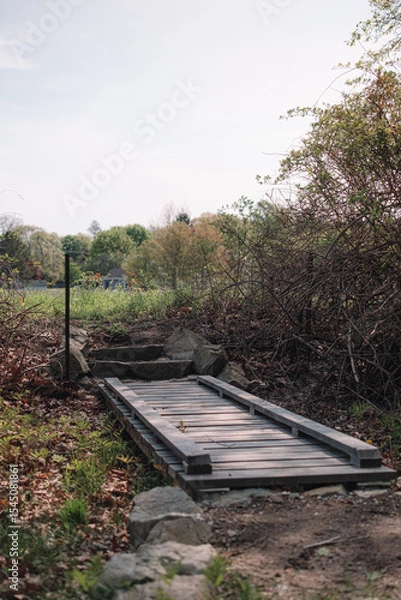 Fototapeta The view from a public hiking trail in Newburyport, Massachusetts. This trail is located in a wooded part of the city, not far from downtown or the ocean. A wooden footbridge crossing a ditch.