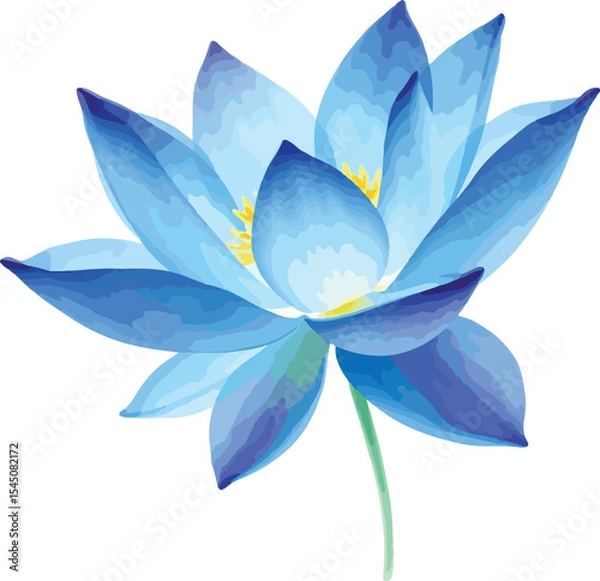 Fototapeta beautiful Watercolor blue lotus flower on vector illustration on white background