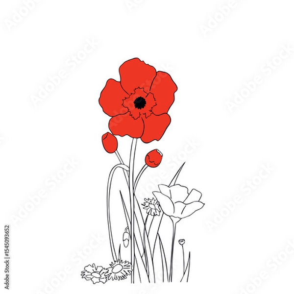 Obraz poppy flower