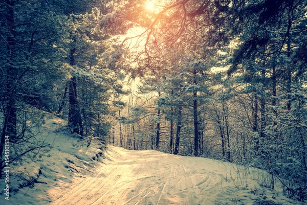 Obraz Frosty winter landscape in snowy forest. Snowy winter pine forest
