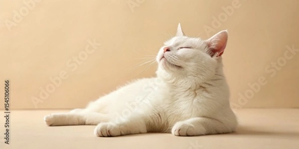 Fototapeta A white cat with closed eyes lies relaxed on a beige background, appearing calm and content.