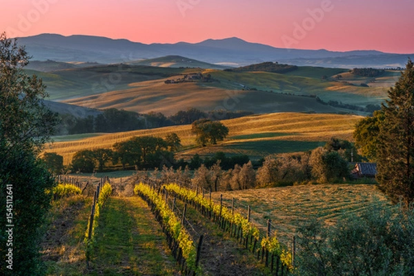 Obraz Alba nelle colline della val d'Orcia