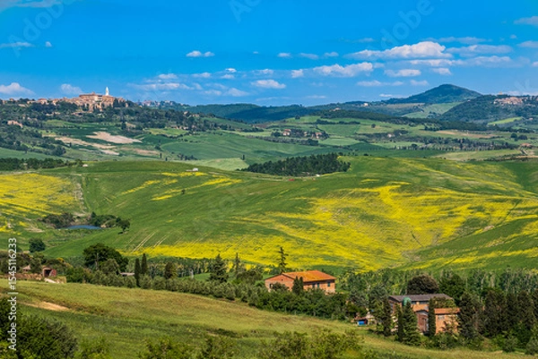 Obraz Panorami colline senesi