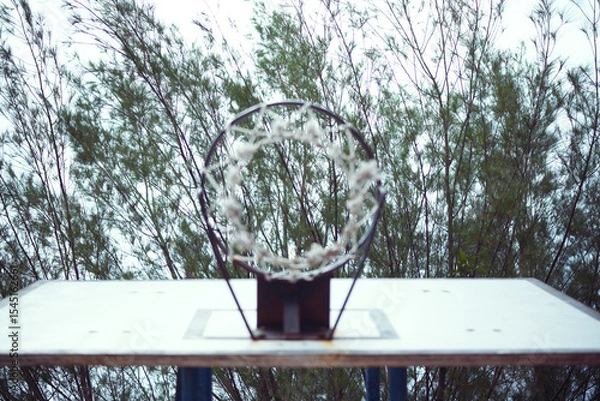 Obraz A basketball hoop is standing in front of some trees. frog view. bottom view