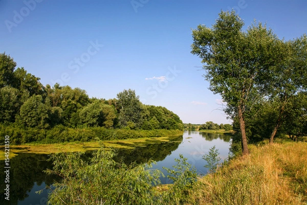 Fototapeta The Khoper River in the Voronezh region on a summer day, a left tributary of the Don. Russia