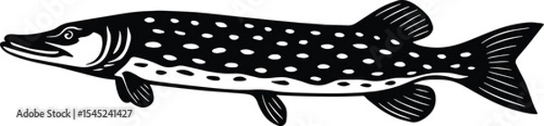 Fototapeta Northern Pike fish design isolated on transparent background