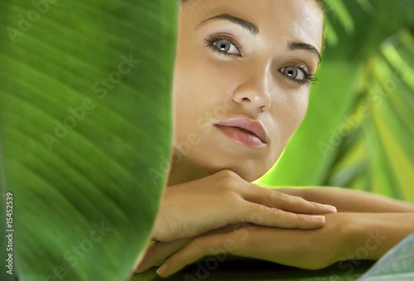 Obraz Tropic Spa