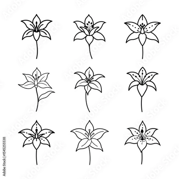 Obraz Tiger Lily Line Art Vector Set Collection
