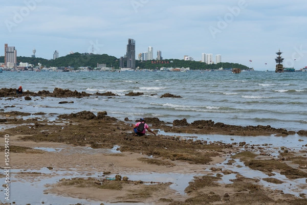 Fototapeta Gathering shellfish on a low tide at Wong Amat beach, Thailand