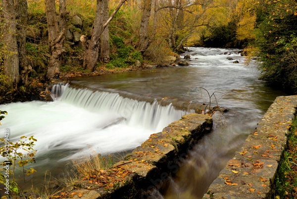 Obraz waterfall in autumn forest