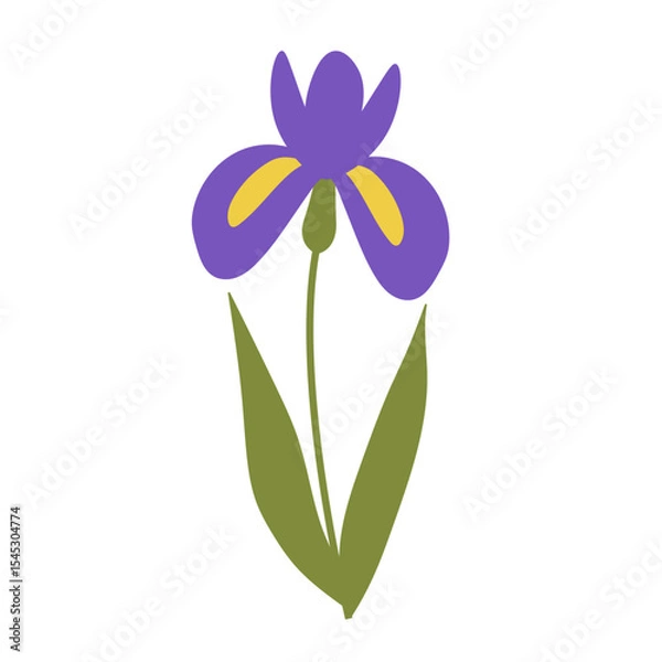 Obraz Iris  flower illustration flat design.