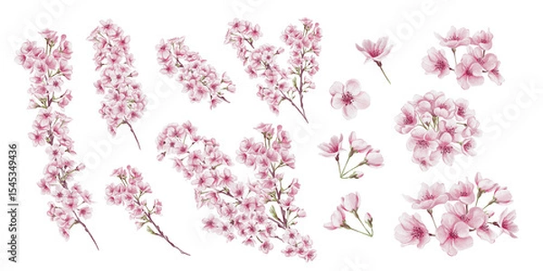 Obraz Set of blossom tree branches. Pink cherry blossoms. Sakura. Branches with leaves and stems. Spring trees. Watercolor illustration isolated from background. Hand drawn. Template and decor.