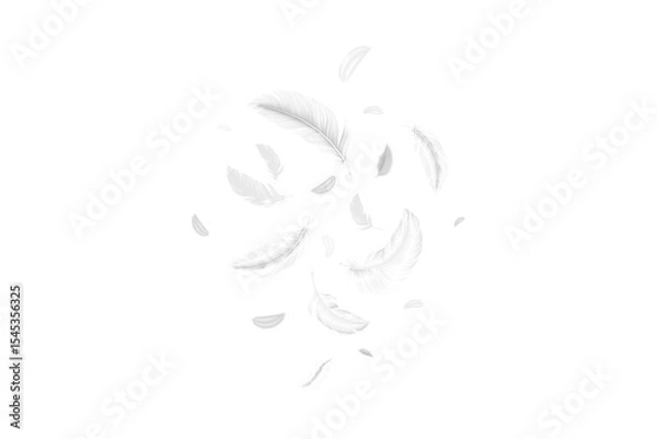 Fototapeta Elegant white feathers floating against a deep black background in abstract composition