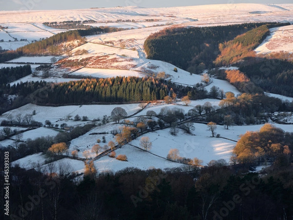 Obraz First light on pine trees and snow covered fields below Eyam Moor, Derwent Valley, Peak District, UK