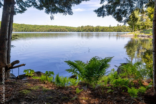 Fototapeta Solitaire Lake in Huntsville, Ontario offers a serene escape with its tranquil waters and lush greenery, perfect for relaxation and nature photography.