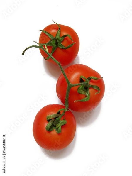 Fototapeta tomatoes on a branch on a white background