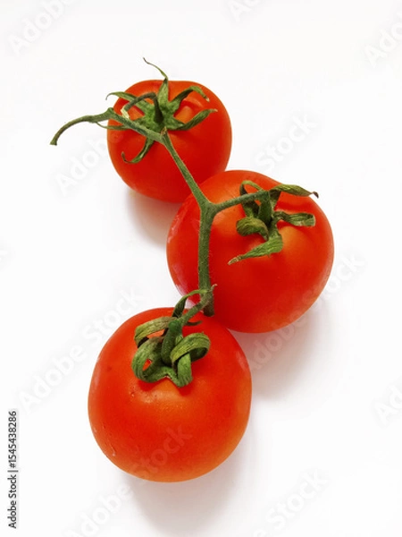 Fototapeta tomatoes on a branch on a white background