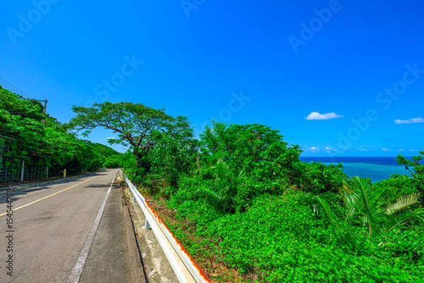 Obraz  青空と緑が美しい石垣島北部の静かな田舎道の風景　南国ドライブ