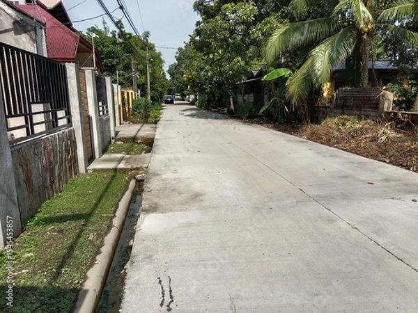 Fototapeta path in the park