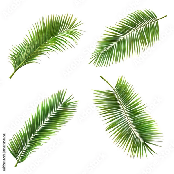 Obraz Palm leaves, tropical fronds isolated on transparent background