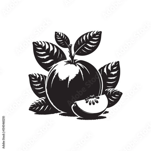 Fototapeta Guava Vector (3).eps